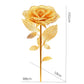Rose 3D metal puzzle by Piececool – DIY flower model kit for adults and gift giving