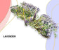 Cranes of Elegance 3D metal puzzle series by Piececool – DIY floral model kits for teens and adults